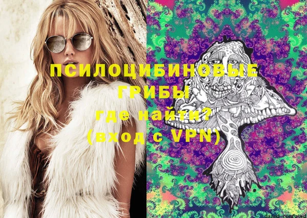 тгк Дмитров