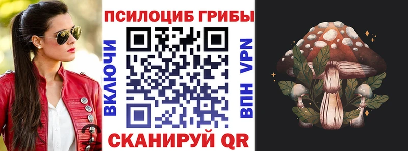 Купить закладки  Орехово-Зуево  Галлюциногенные грибы GOLDEN TEACHER 