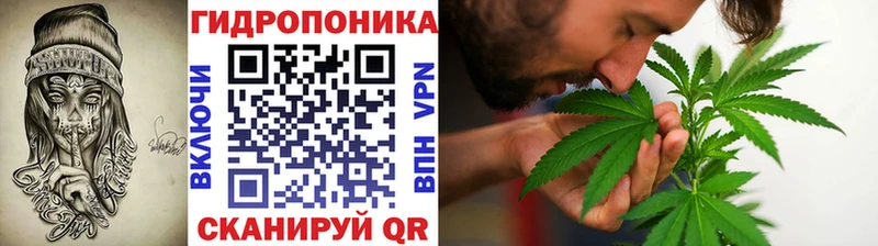 Марихуана Amnesia  Купить закладки  Орехово-Зуево 